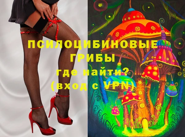 прущие грибы Алзамай