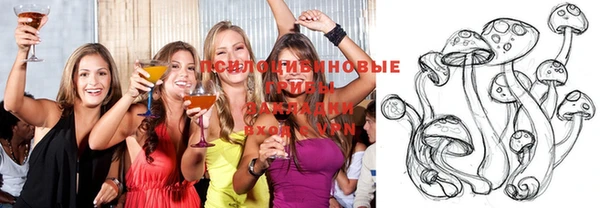 молекула духа Алексеевка