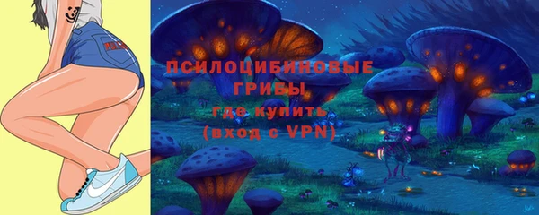 spice Абинск