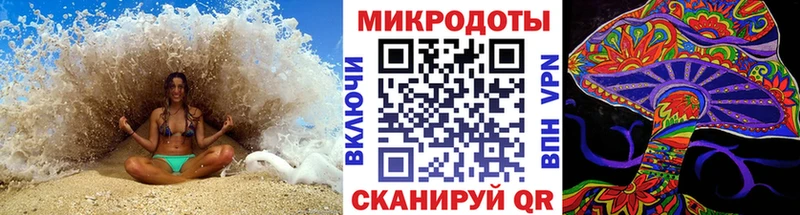 где найти наркотики  Хадыженск  Галлюциногенные грибы Psilocybe 